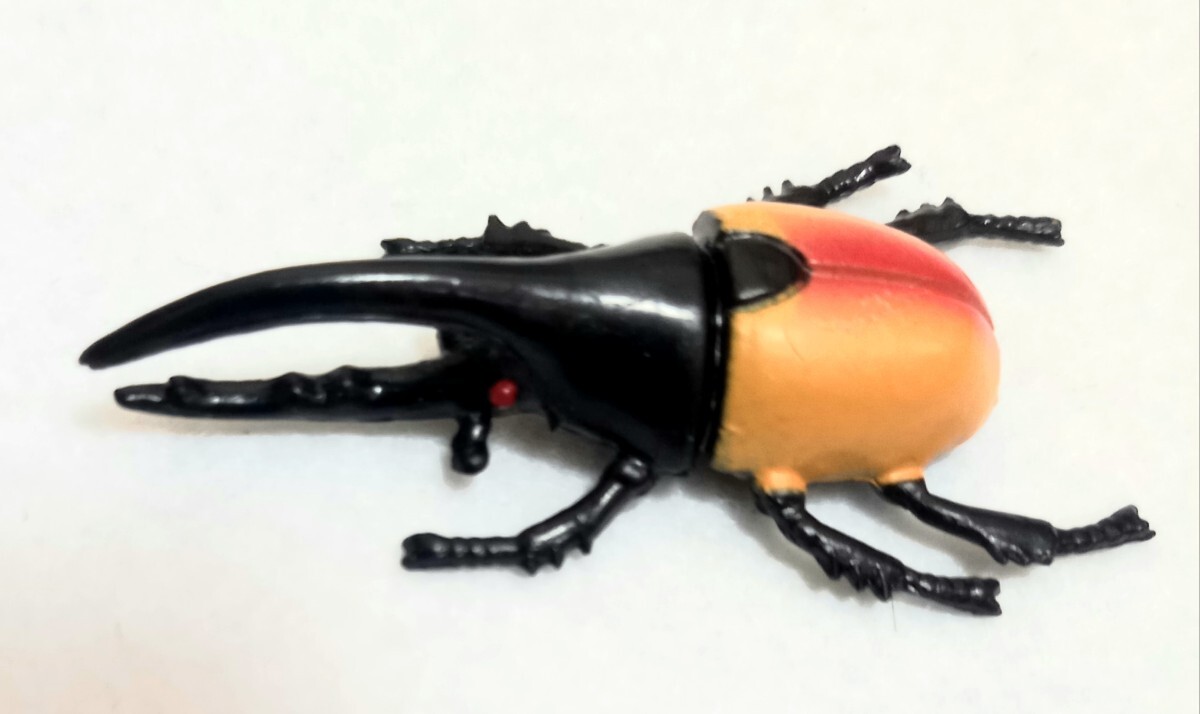 カブトムシ フィギュア 5種類 21個 昆虫 おもちゃの画像2