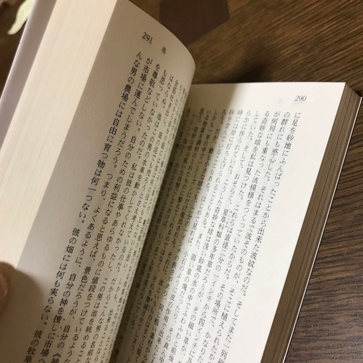 森の生活　ウォールデン （講談社学術文庫　９６１） ヘンリー・Ｄ・ソロー／〔著〕　佐渡谷重信／訳