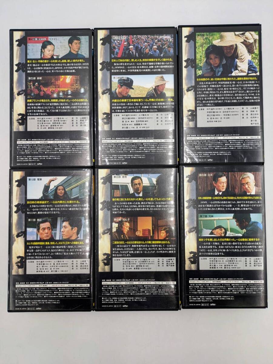 【1円スタート】中古ビデオまとめ VHS 16本 大地の子 十戒 クレオパトラ サウンドオブミュージック 他 ※ テープ内カビあり、画像参照の画像3