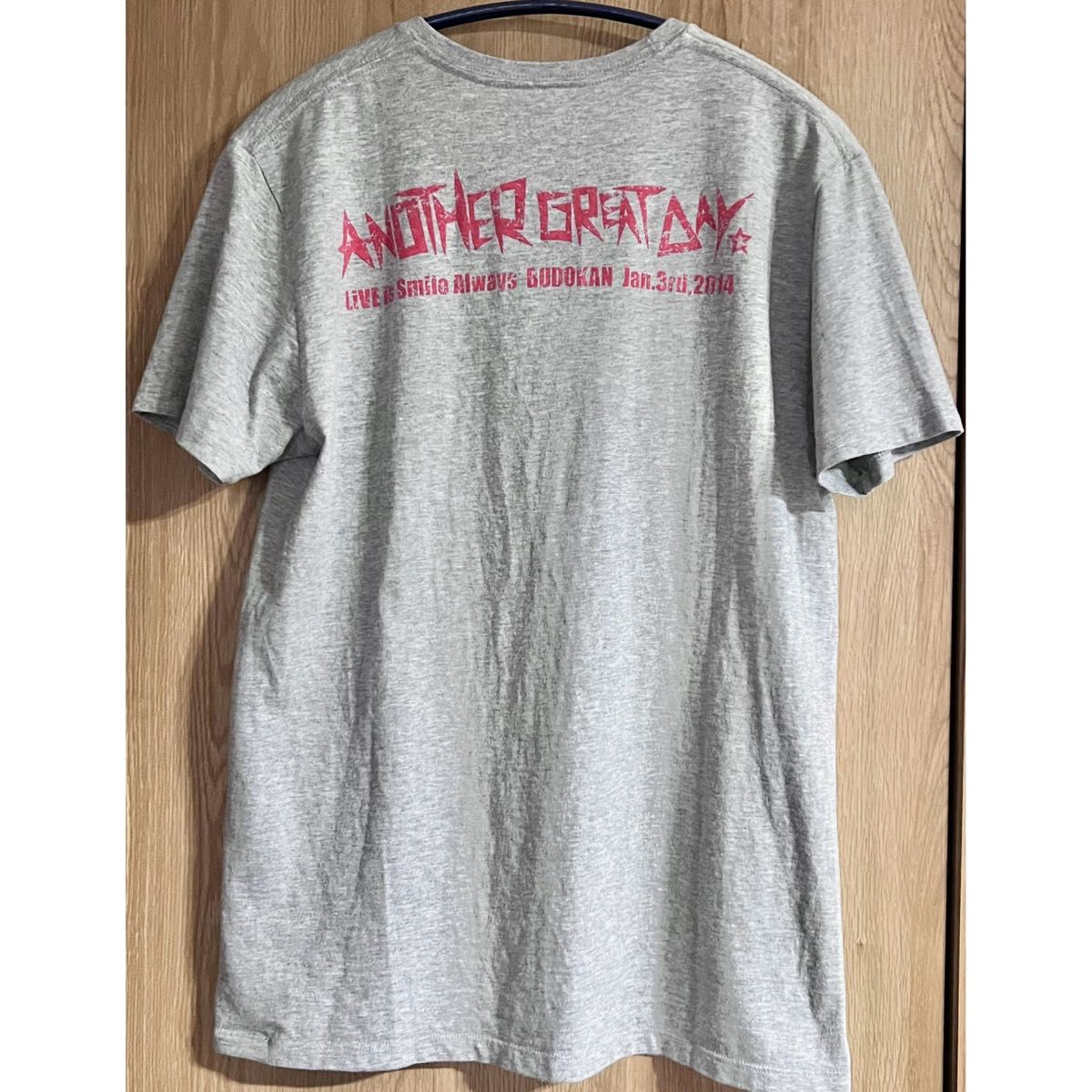 LiSA ライブ Tシャツ グッズ 武道館 レア HARRY イラスト 半袖T LiSA ライブ Tシャツ グッズ 武道館 レア HARRY イラスト 半袖T