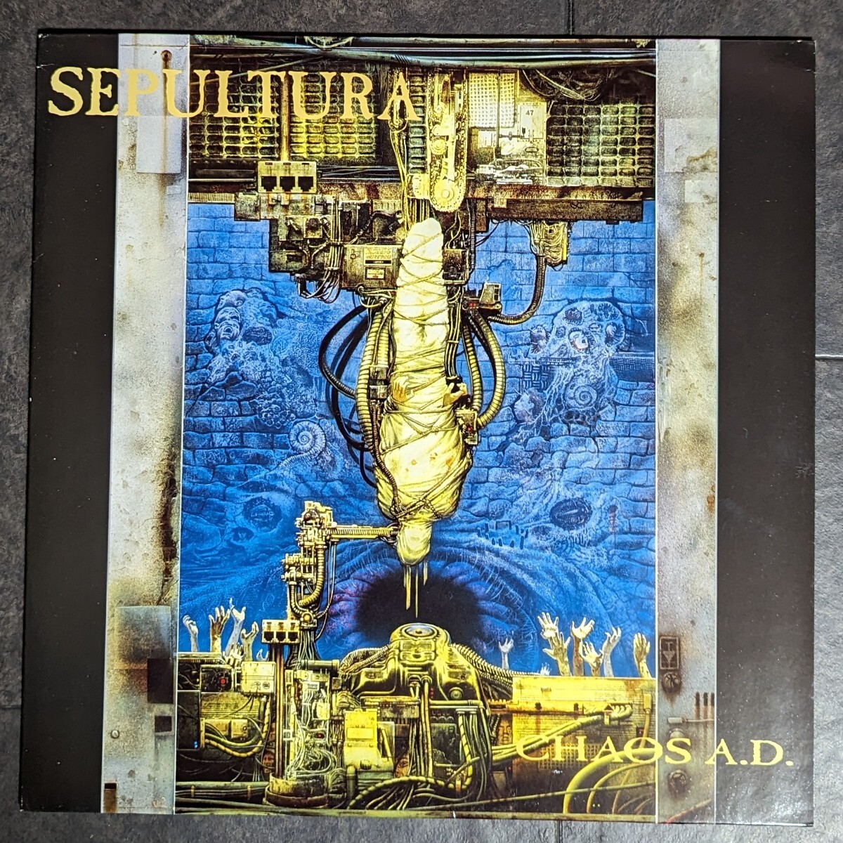 Sepultura / Chaos A.D. 1993年EU盤 セパルトゥラ / ケイオスA.D. Roadrunner 品番 RR 9000-1 ロードランナー メタル ミクスチャーの画像1