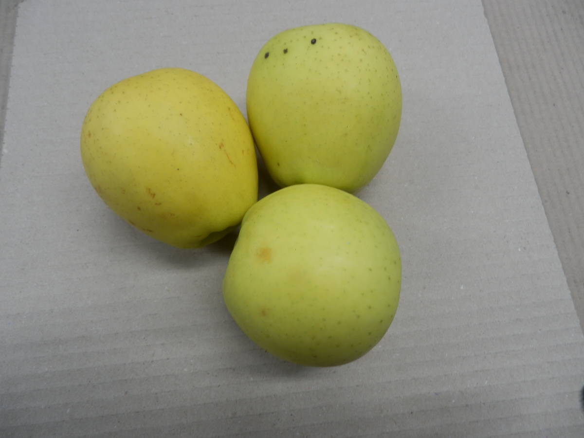 青森県産りんご シナノゴールド・大紅栄 ダンボール入り 約10kg キズ有りの画像4