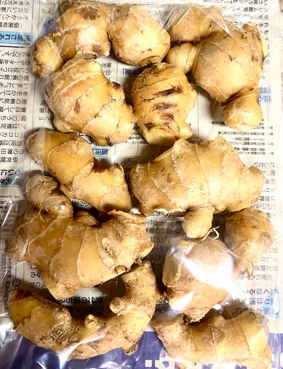 熊本産農薬不使用生姜500g