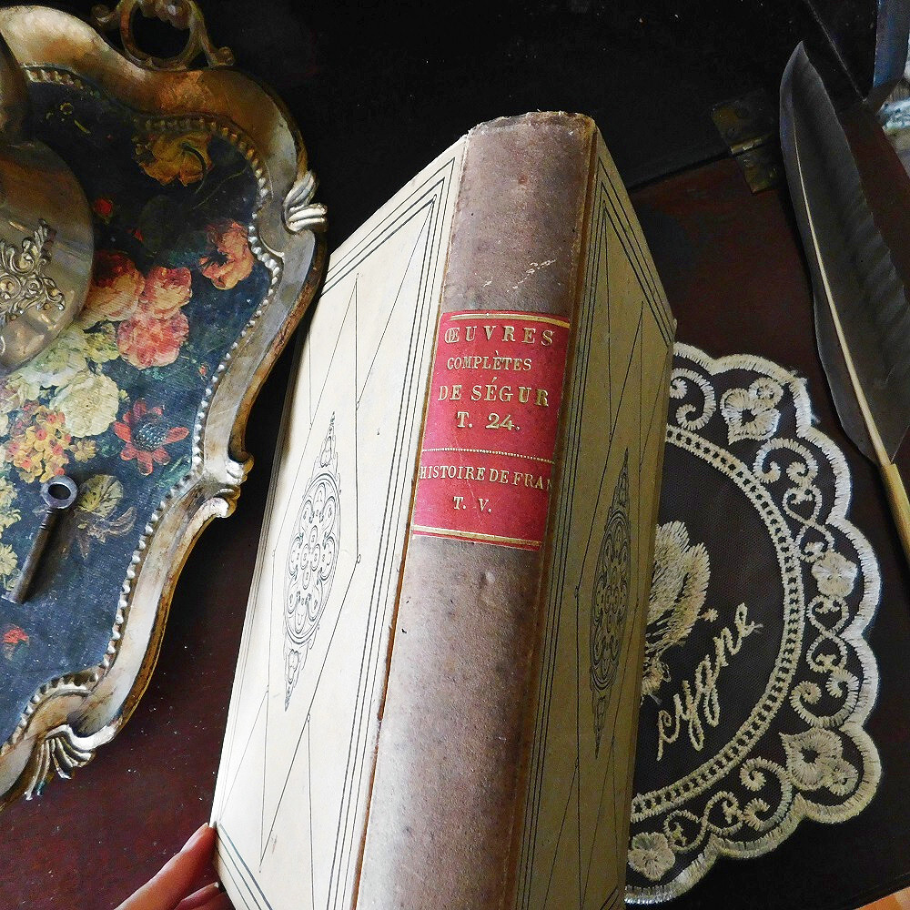 +。*゜+ 1824年 表紙が素敵なフランスの歴史書 古書 アンティークブック ヴィンテージ本 洋書 古書 英国 インテリア ディスプレイの画像5