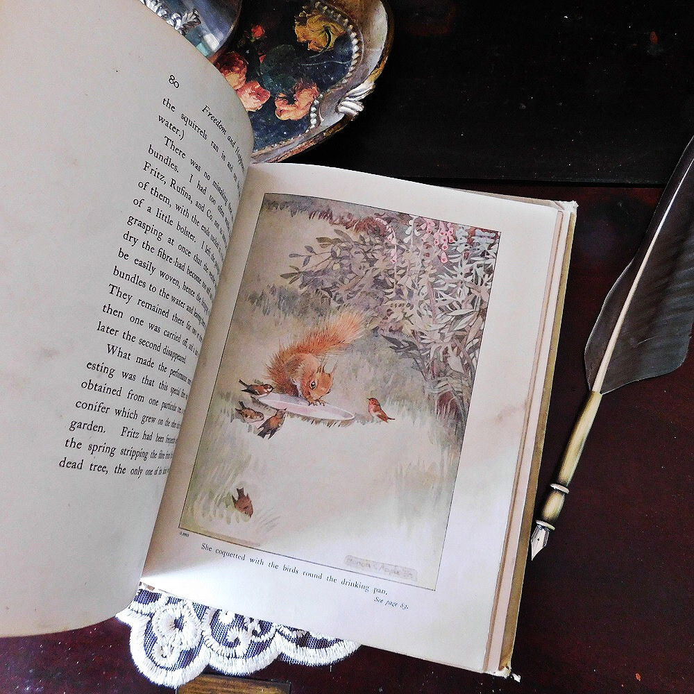 *゜+ 20世紀 可愛らしいリスの古書 英国 アンティークブック ヴィンテージ本 洋書 アンティーク イギリス シャビーシック 動物の画像7