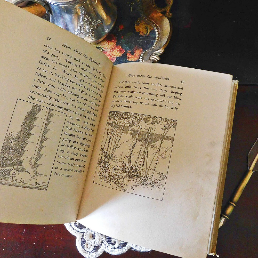 *゜+ 20世紀 可愛らしいリスの古書 英国 アンティークブック ヴィンテージ本 洋書 アンティーク イギリス シャビーシック 動物の画像8
