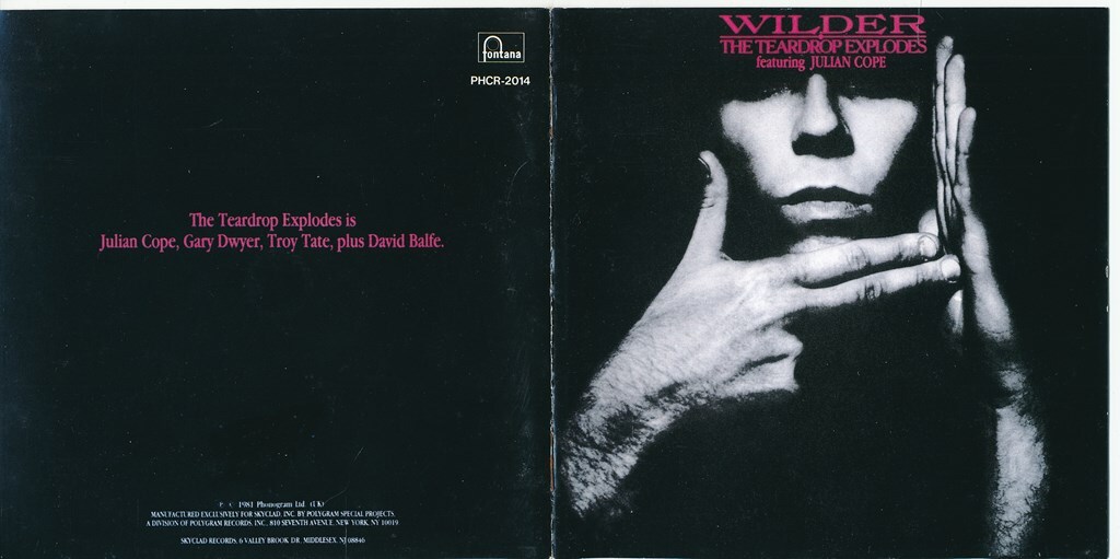 THE TEARDROP EXPLODES / ティアドロップ・エクスプローズ / WILDER / ワイルダー /中古CD!!69874/C_画像3