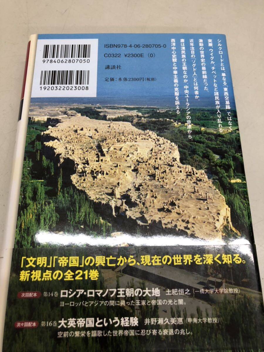 講談社 興亡の歴史 13冊 セット 現状品 歴史書 アレクサンドロスの征服と神話 スキタイと匈奴 遊牧の文明 世界史の画像8