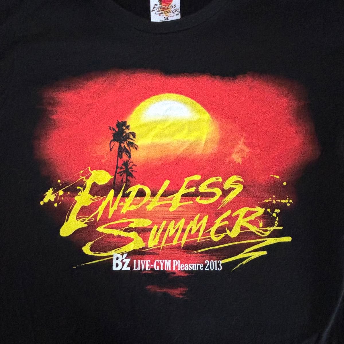 B'z LIVE-GYM 2013 endless summer  Tシャツ ブラック S
