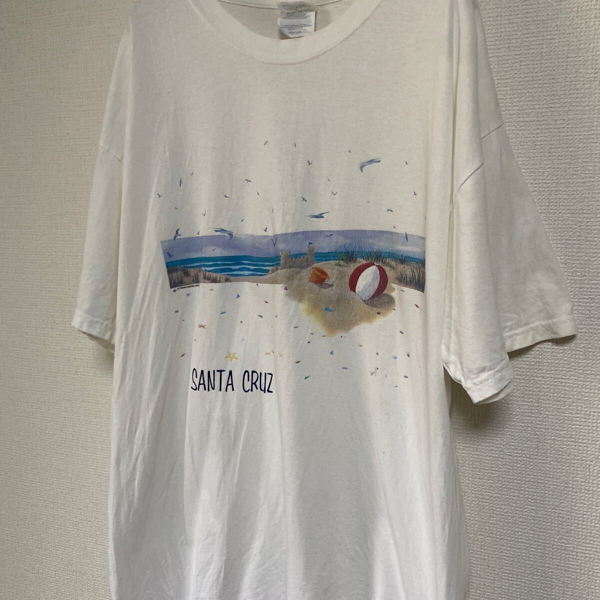 90s USA ヴィンテージ ビンテージ Tシャツ tee アメリカ 古着 オールド art アート アメカジ ストリート サンタクルーズ レア バンド の画像5