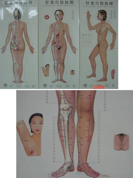 注目：★ 日本初上陸 女性人体写真 『鍼灸兪穴経絡図』 ★ 未使用品の画像2