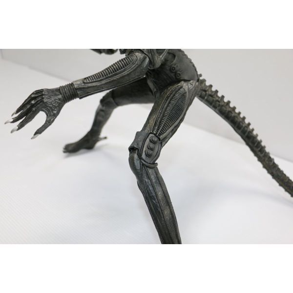 1円～ エイリアン フィギュア 映画グッズ エイリアンVSプレデター ALIENの画像9