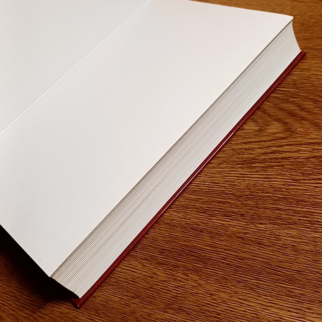  иностранная книга The Picture Bible. документ |ba Eve ru| манга | английский язык 