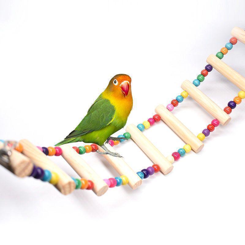 [ бесплатная доставка ] птица для игрушка мелкие животные лестница жердочка попугай длиннохвостый попугай птица маленькая птица -тактный отсутствует аннулирование 