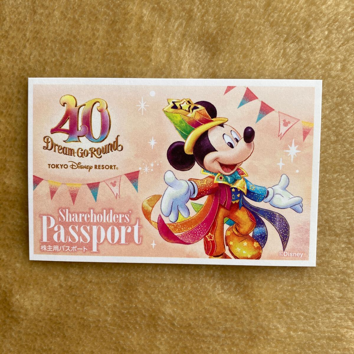 東京ディズニーリゾート　株主用パスポートチケット　1枚　送料無料_画像1