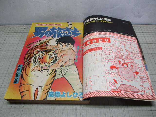 週刊少年ジャンプ 1980年11月17日号 Drスランプ.鳥山明/表紙+ほよよカードスペシャル山吹みどりの画像3