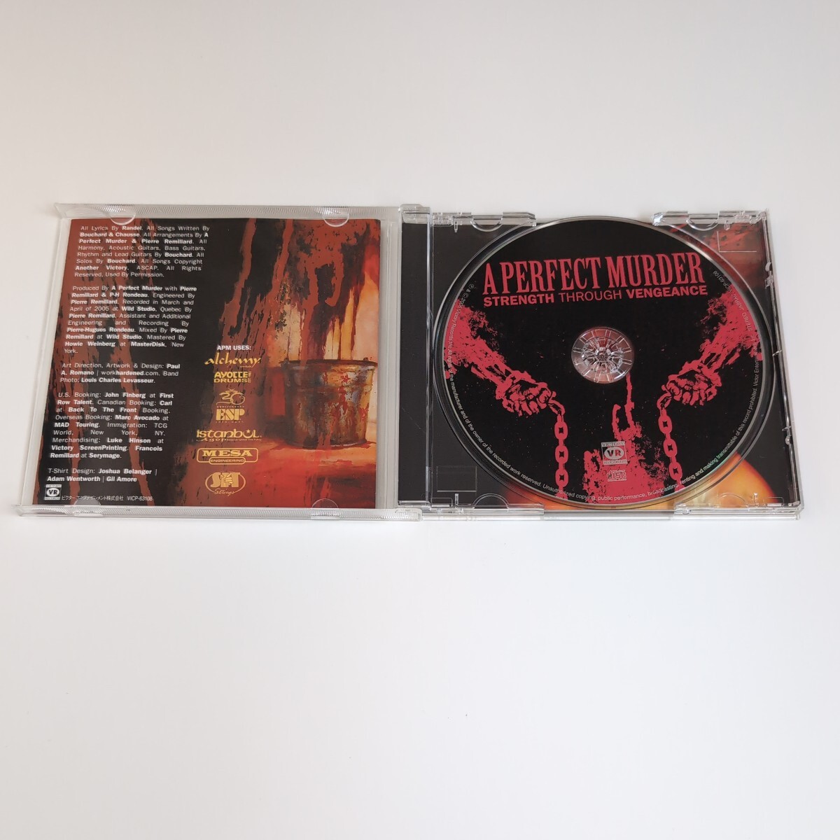 A PERFECT MURDER Canada Brutal Thrash Heavy Metalcore スラッシュ ヘヴィメタルコア 国内盤CD 帯付の画像7