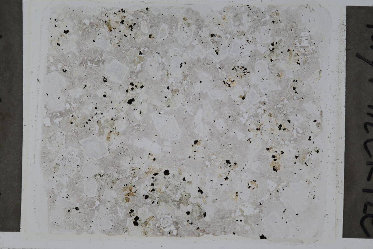 偏光顕微鏡用プレパラート　岩石薄片　ミルメカイト　1枚　