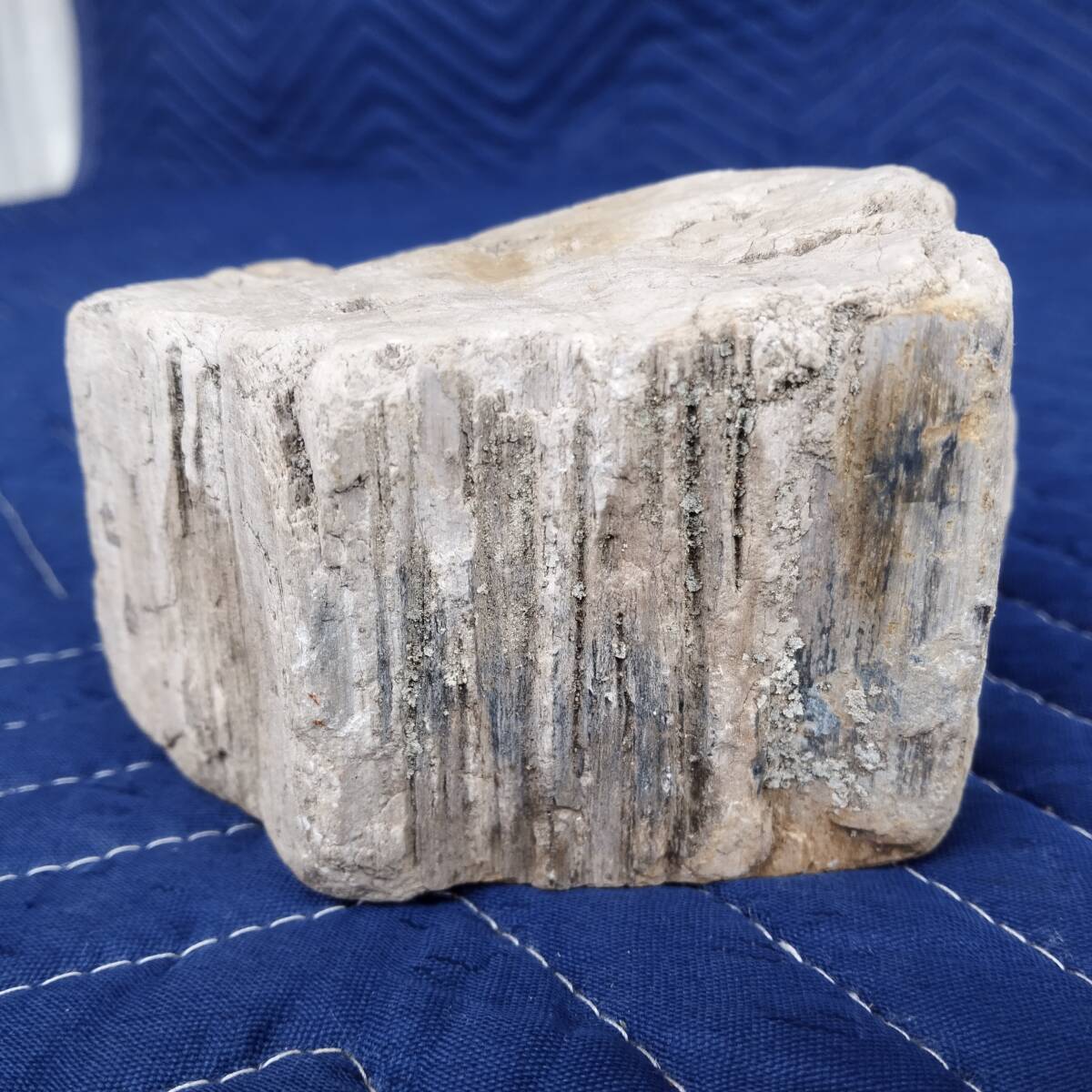 珪化木870g・常陸大宮市彦久慈川産 W11×D8×H7cm 珪化木870g・常陸大宮市彦久慈川産 W11×D8×H7cm