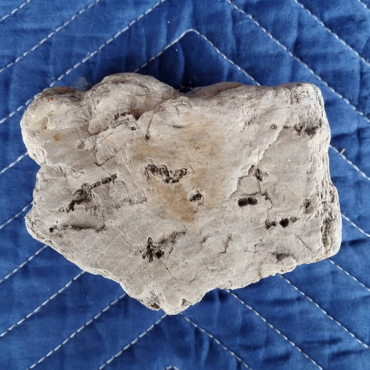 珪化木870g・常陸大宮市彦久慈川産 W11×D8×H7cm 珪化木870g・常陸大宮市彦久慈川産 W11×D8×H7cm