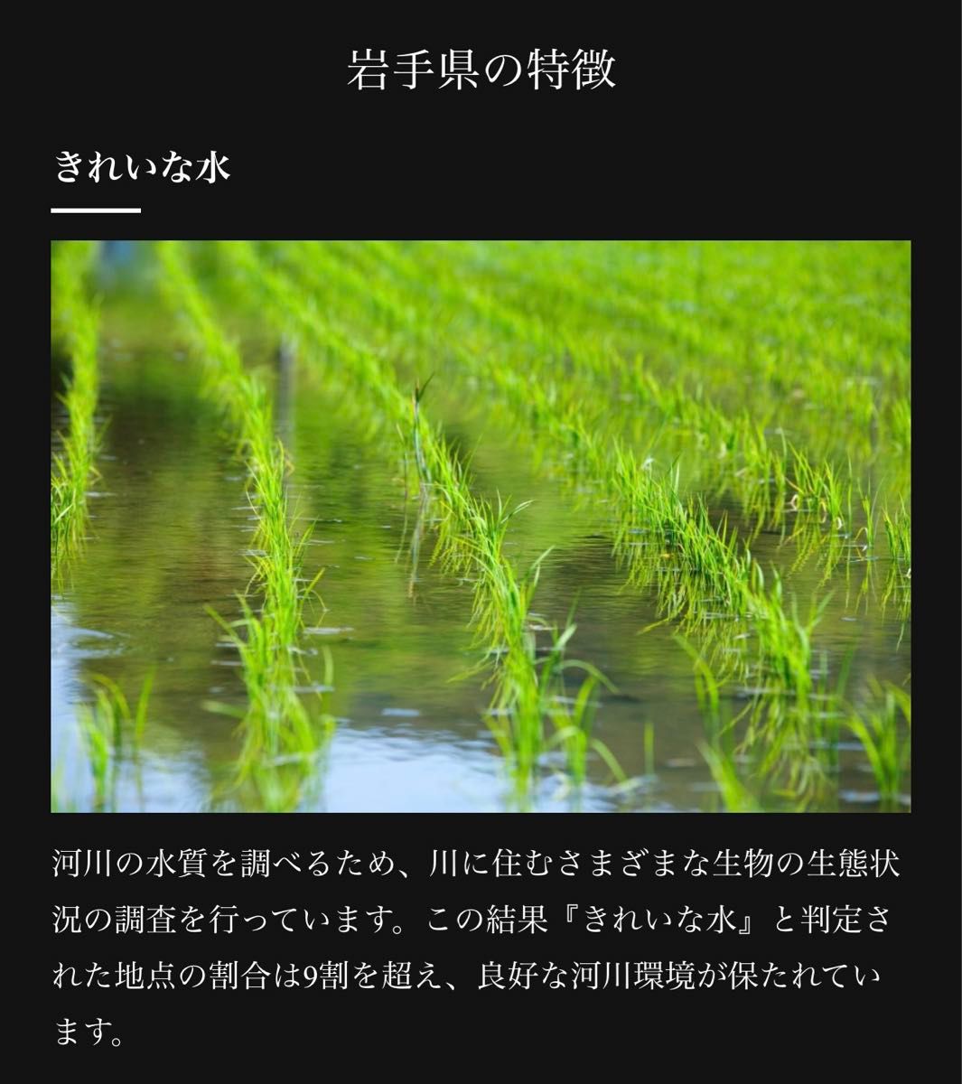 米　特別価格！限定1セット15%OFF 早い者勝ち！【岩手県産銀河のしずく25kg】5kg×5 6年連絡で最高の特A評価を獲得♪