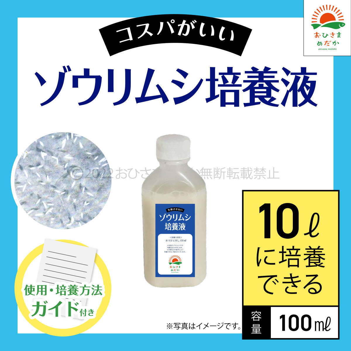 高コスパ【ゾウリムシ培養液　100ml　10L培養分　送料無料】メダカ めだか 金魚 ミジンコ　ミドリムシ　クロレラ　 針子　PSB 培養に_画像1