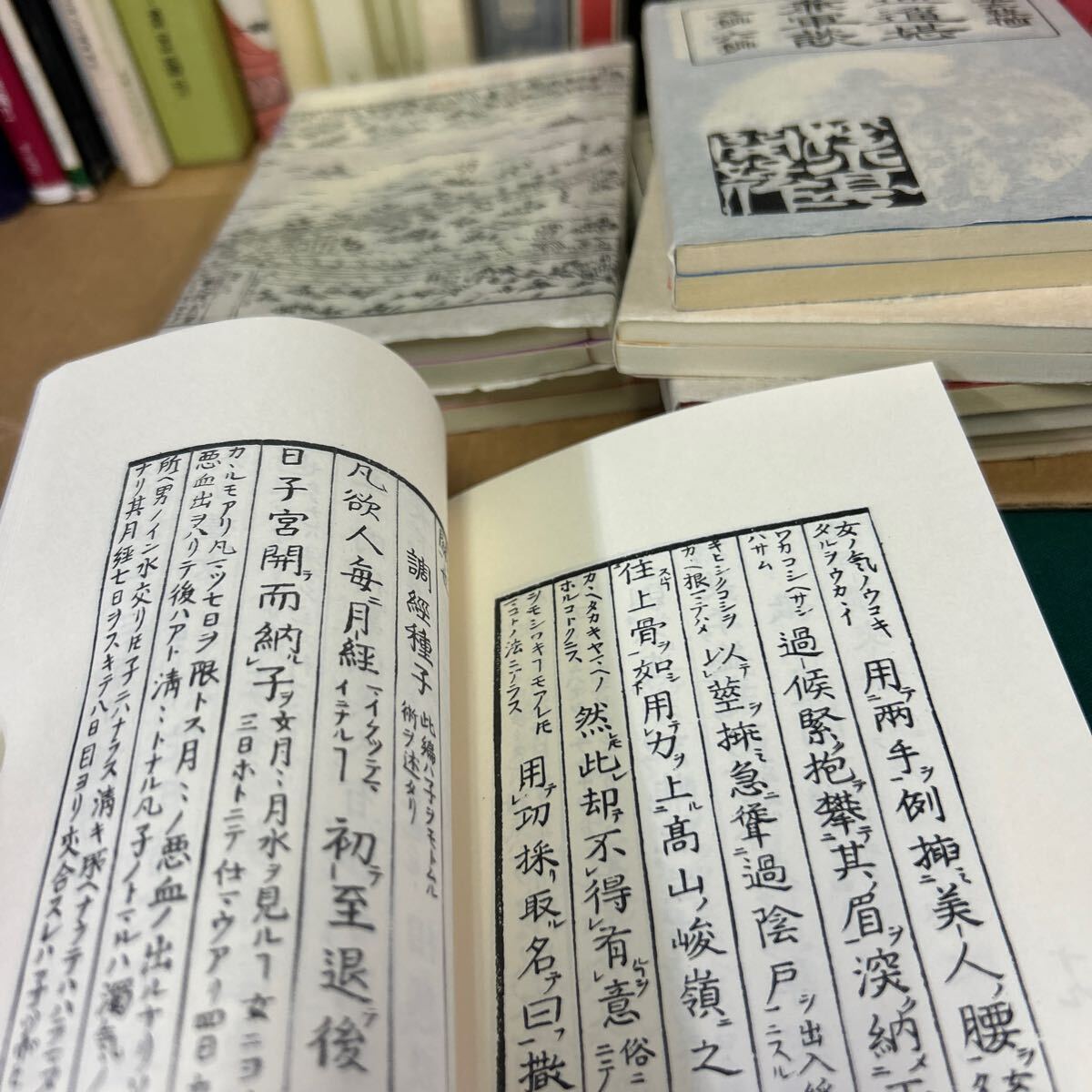 □/古本/葛飾北斎/江戸會本名作資料選林美一/日本の図像/珍冊春冊/大晦日曙草子/絵本柳樽選集/花咲一男/157-92の画像9