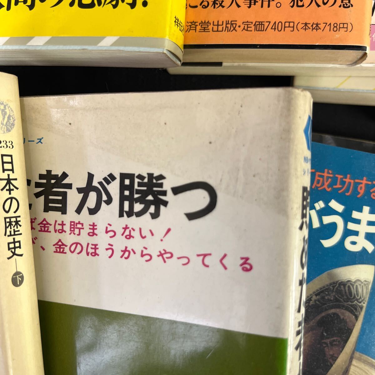 ●古本《ジャンル多数 本まとめ売り》雑学/小説/エッセイ/電磁気/幾何学序説/歴史/パソコン/ヨガ/ガーデニング/161-33_画像3