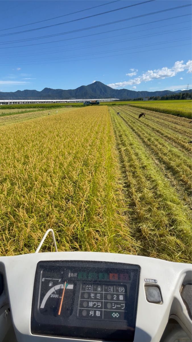 【令和５年産】福井県越前市産コシヒカリ（精米10キロ）福井県特別栽培米