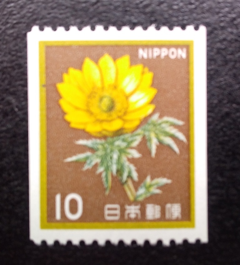 未使用1982年花・貝・文化財コイル福寿草10円切手_画像1