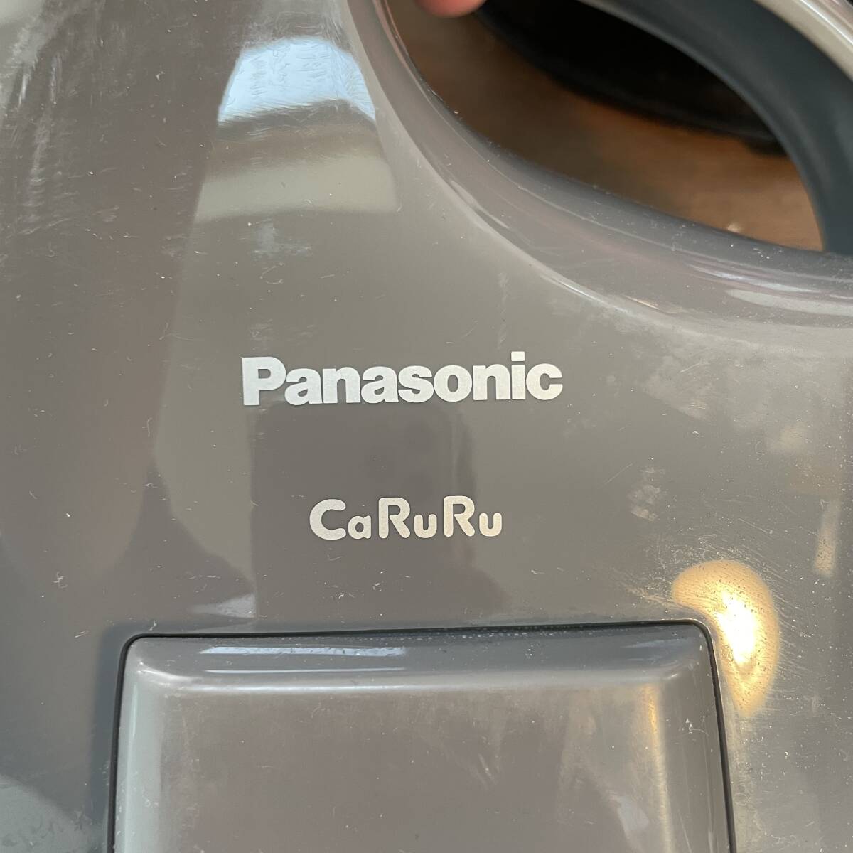 [Panasonic] iron 