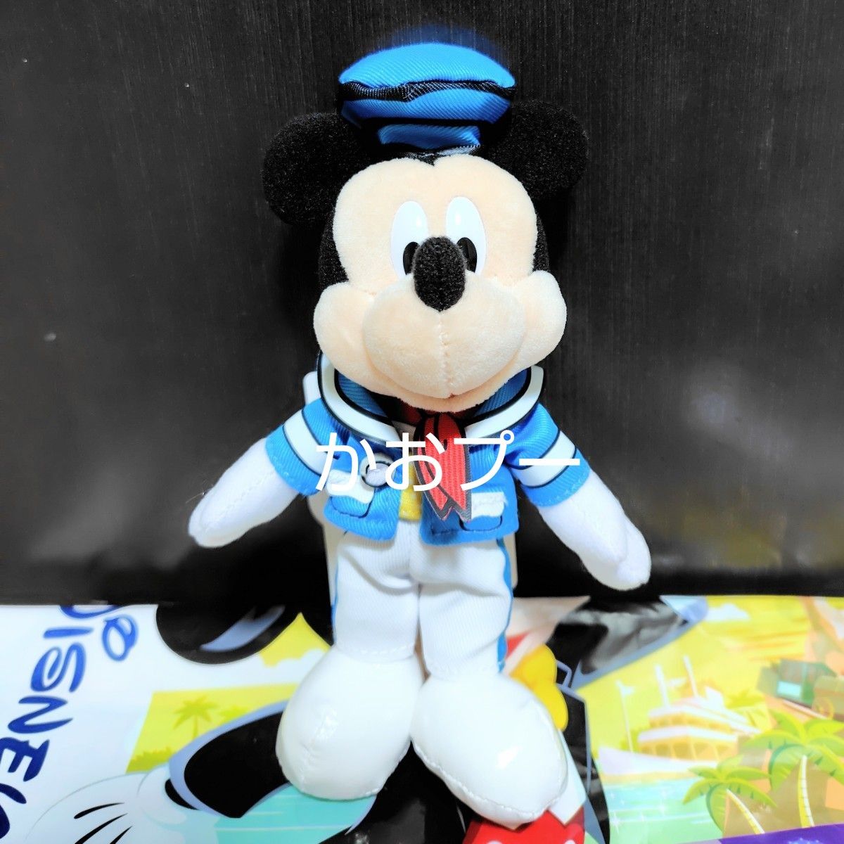ディズニーランド ディズニーパルパルーザ ドナルドのクワッキー ディズニーランド ディズニーパルパルーザ ドナルドのクワッキー