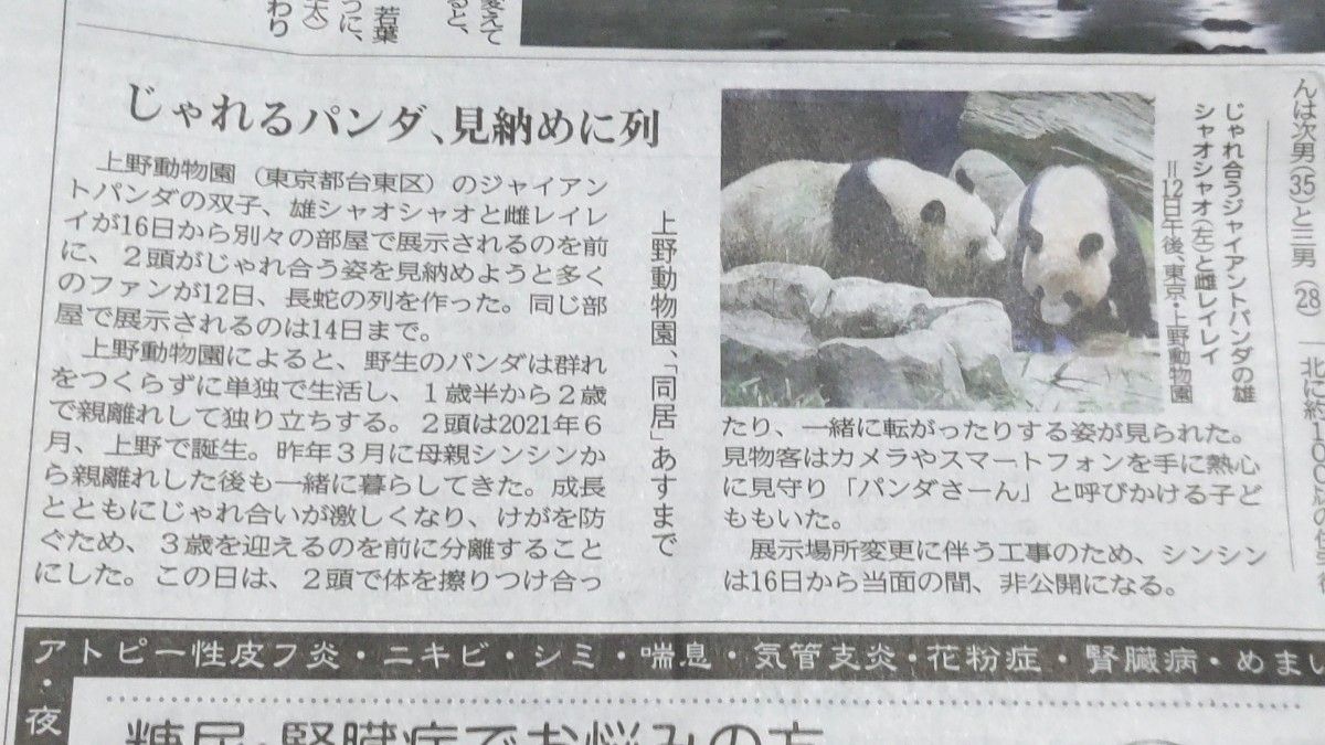 上野動物園　パンダ　シャオシャオ　レイレイ　新聞　記事