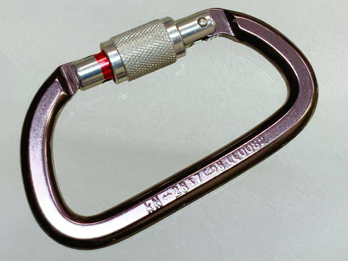 ぺツル エーエムディー スクリューロック PETZL AM’D  の画像4