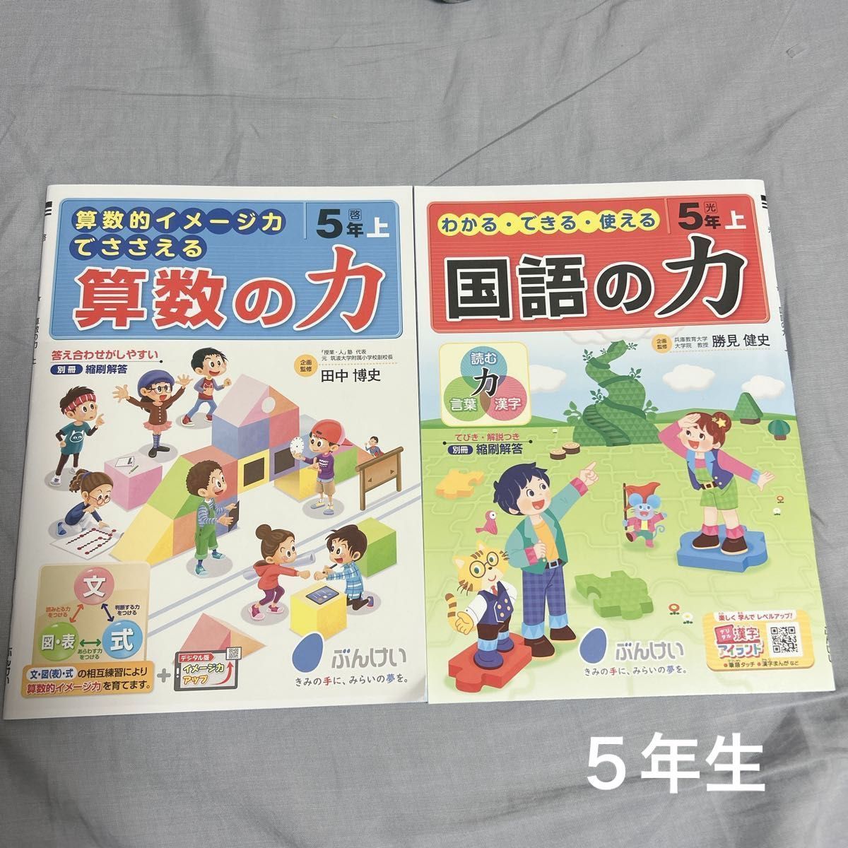 算数 国語 問題集 教科書ワーク 算数の力 国語の力 ドリル 5年生 算数 国語 問題集 教科書ワーク 算数の力 国語の力 ドリル 5年生