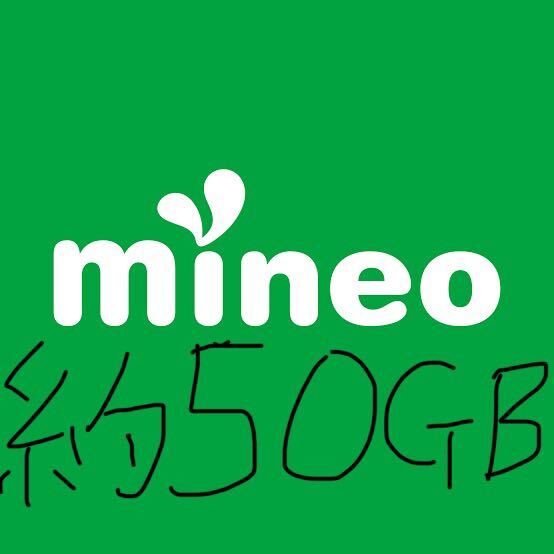 mineo マイネオ パケットギフト 約50GB (9999MB×5)_画像1