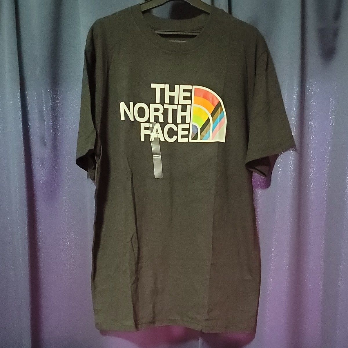 【新品】THE NORTH FACE　ノースフェイス　Tシャツ　US限定　M　ノースフェイスTシャツ　ユニセックス