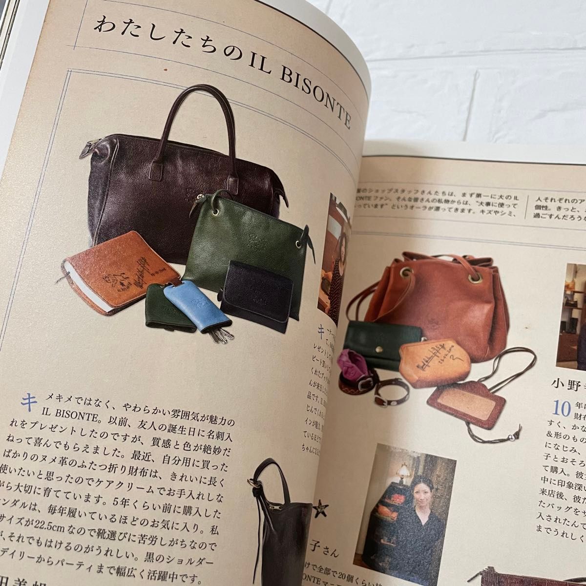 ＩＬ ＢＩＳＯＮＴＥ ２０１１Ａｕｔｕｍｎ／Ｗｉｎｔｅｒ イルビゾンテ 雑誌 本 ムック 付録なし