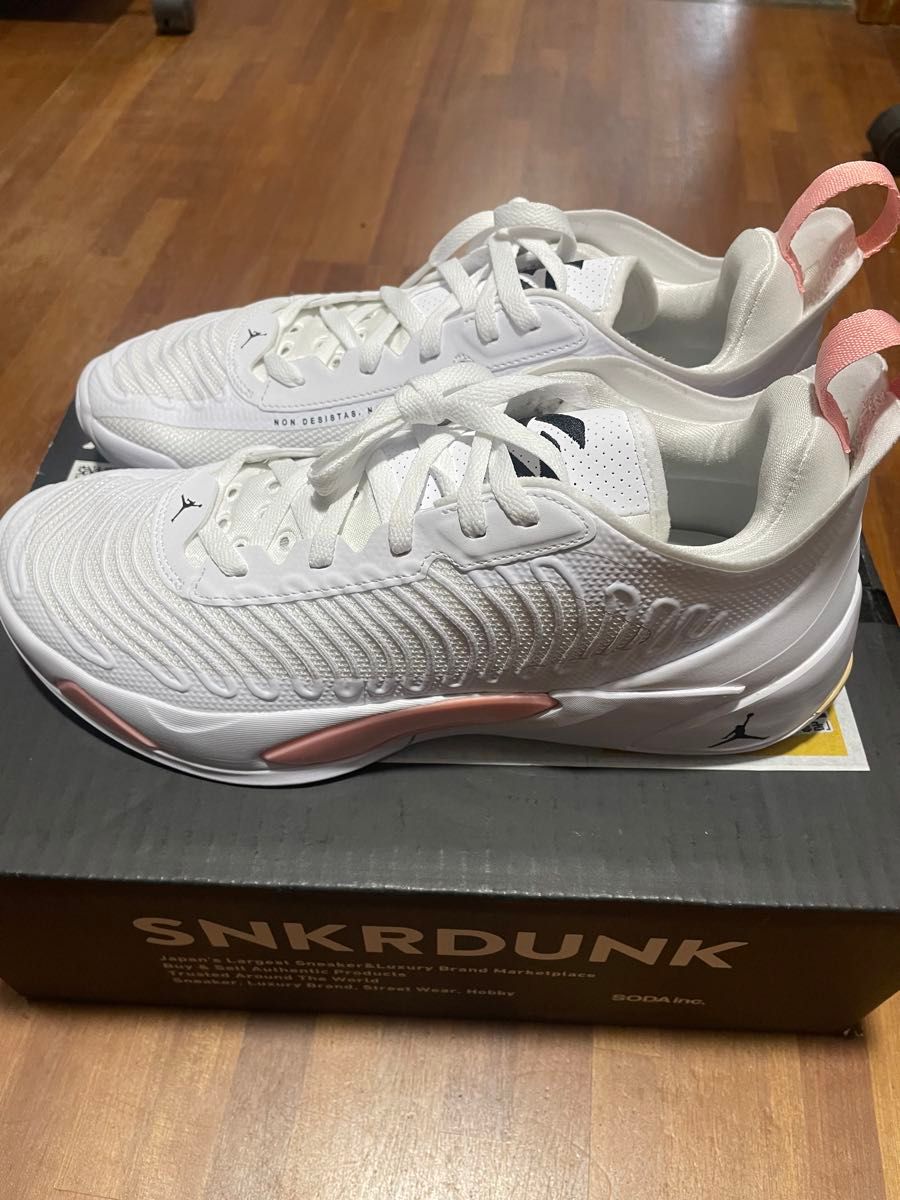 Nike Jordan Luka1 Dad Dog