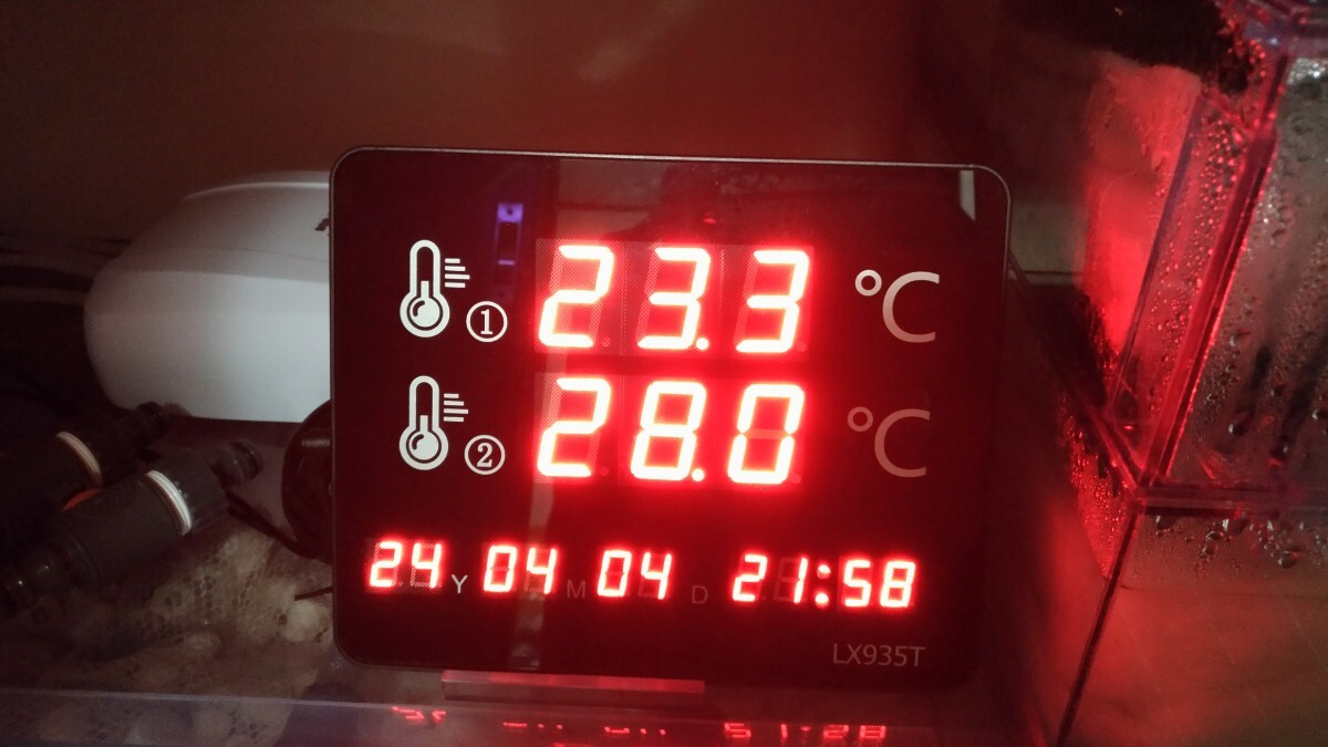 デカい！明るく見やすい！デジタル　水温計　デュアル　日付　時計　アラーム機能_画像3