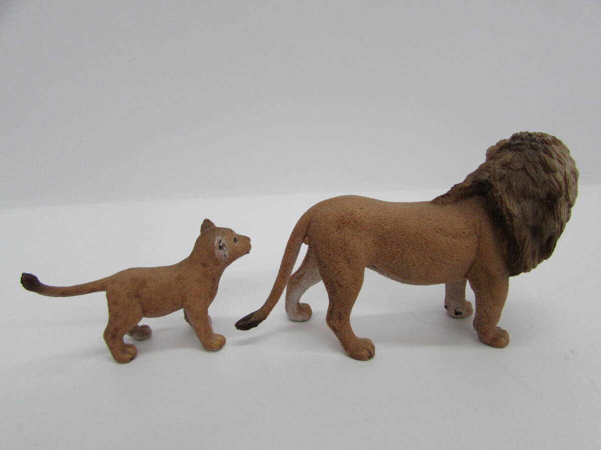 Schleichshulaihi лев мужской 14373..14364 родители . фигурка кукла 2 body . суммировать комплект животное Africa 
