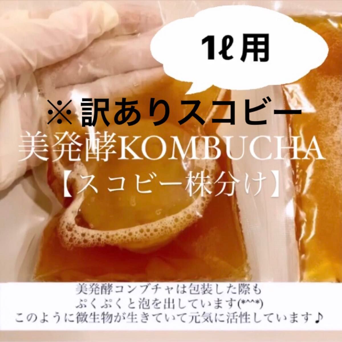 ※訳ありスコビー　コンブチャ1リットル作成用　紅茶きのこ