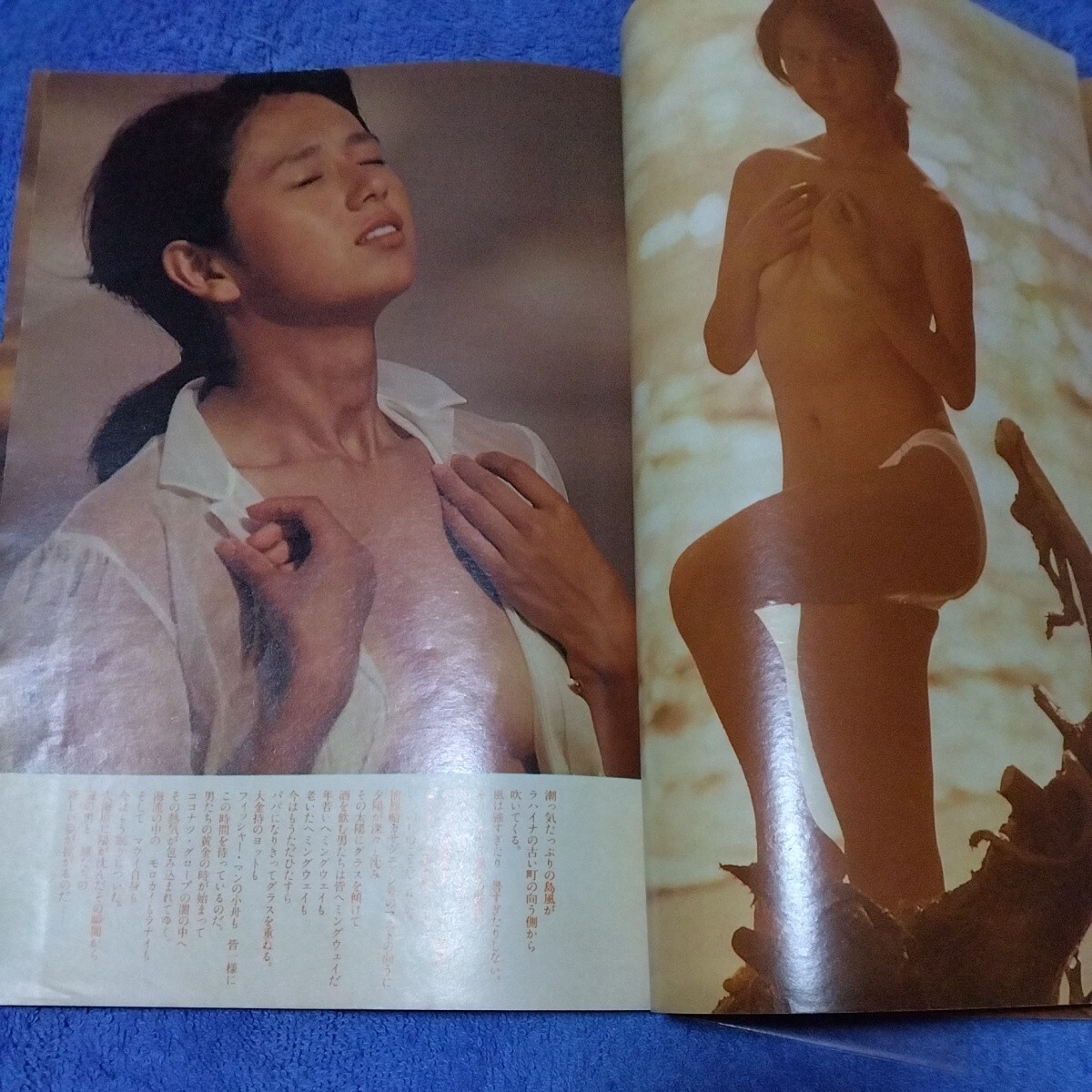  morning . genuine . beautiful 1980 year Showa era idol MAUI. Sunset cut pulling out 6 page c-6