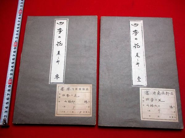 a497◇ 四季の花　夏の部２冊　明治４１年　酒井抱一　木版画集　芸艸堂　芸草堂　和本 古書 古文書_画像1