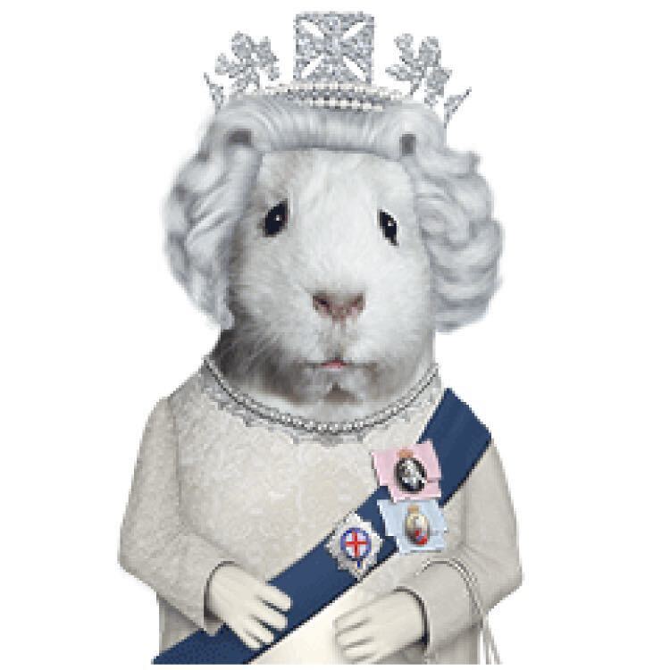 PETS ROCK ペッツロック MADE IN UK イギリス製 takkoda タッコーダ エリザベス女王 Elizabeth ラビット ウサギ クッション アーカイブ_画像10