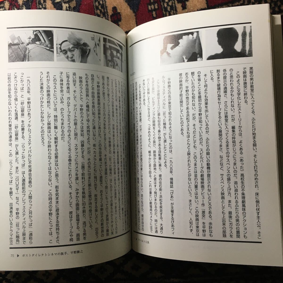 ゲバルト人魚 平野勝之作品集 1984-1994 ぱふ林由美香山崎幹夫井口昇藤木TDC高槻彰大友克洋詩子杉山正弘原達也庵野秀明V&R山下松尾大島渚の画像6