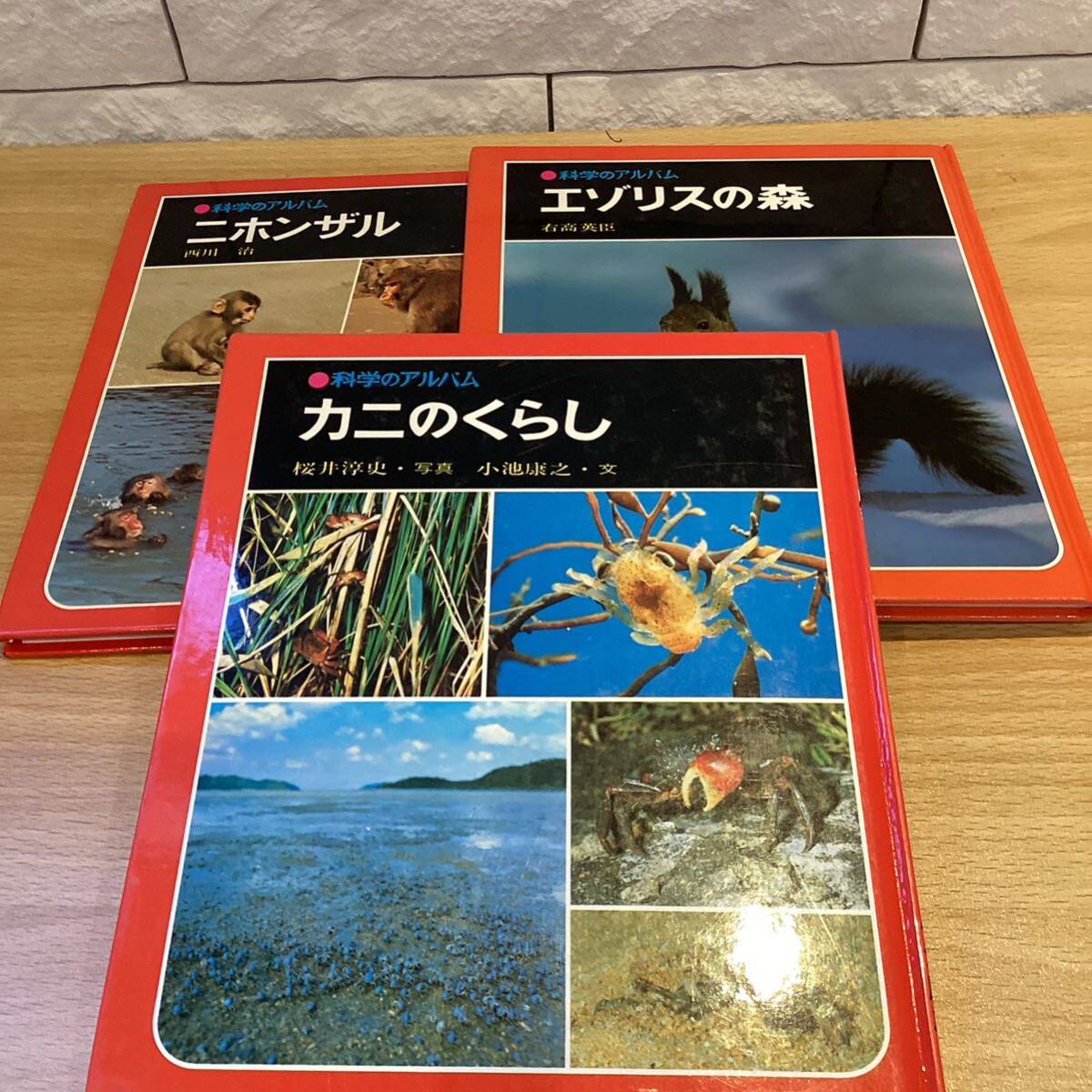 【7690③】科学のアルバム　動物シリーズ　24冊　　海のさかな・ネコのくらし・カタツムリ　他_画像6