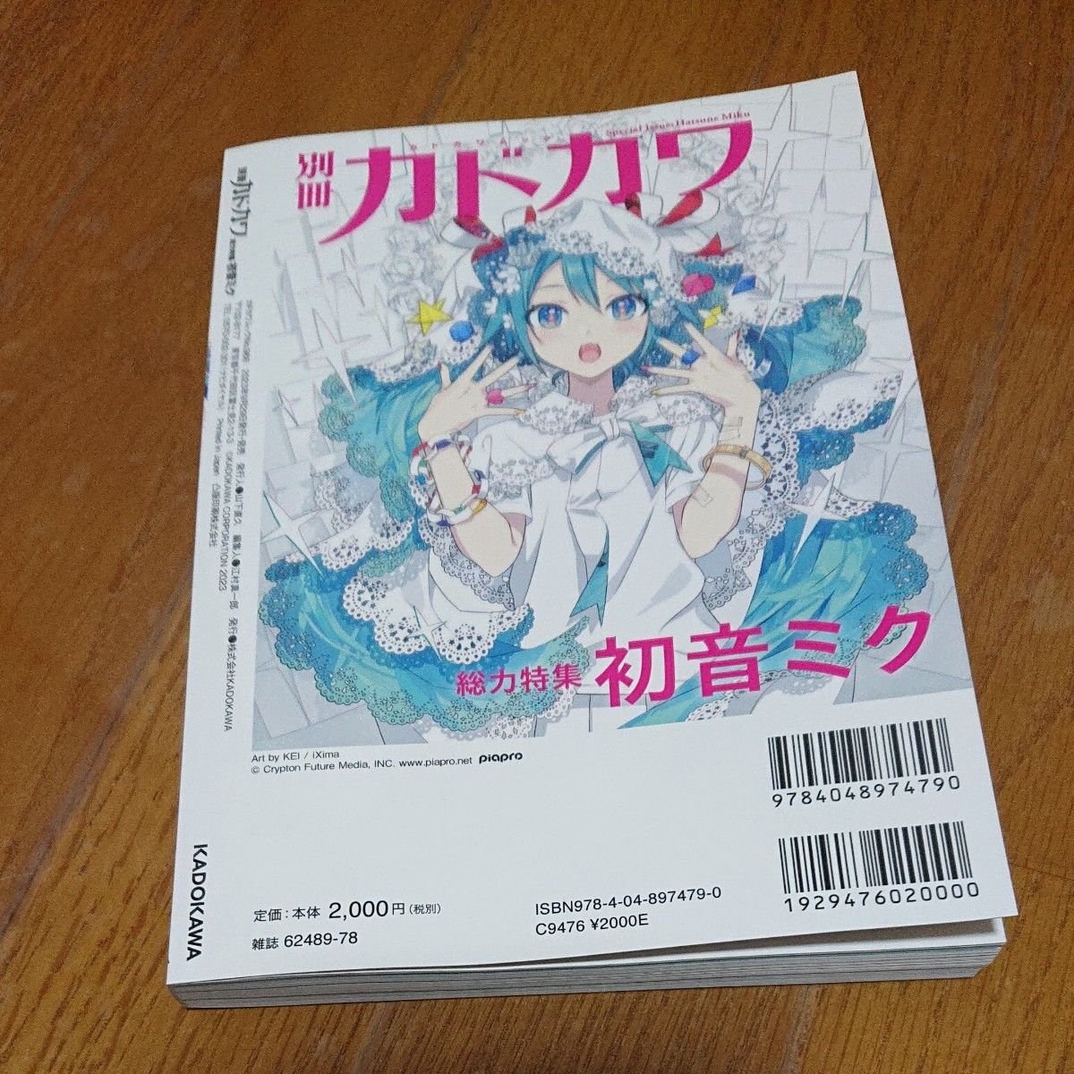 別冊カドカワ総力特集初音ミク