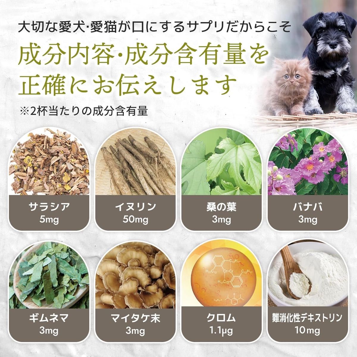 ウィズペティ 毎日習慣 サラシア イヌリン 犬用 猫用 体重 血糖値 健康維持 サプリメント 2袋