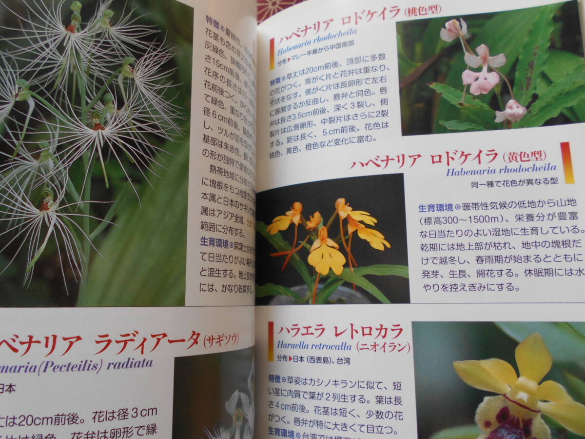 * мир. орхидея 380- тайна . цветок,... цветок . большой набор! (... . лучший BOOKS). глициния черепаха три ( работа )* Ran нравится . person а Вы как?. садоводство 